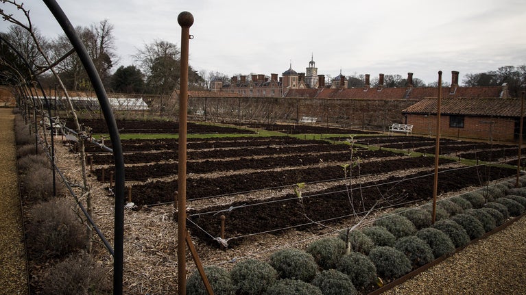 The walled garden with raised bed at Blickling Estate in winter